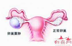 广州总代孕医院生殖科如何广州世纪代代孕陆仁
