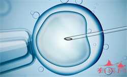 代怀孕网_试管可以供卵吗-生育时间是指什么时候