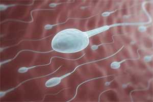 人工代孕网_世纪代怀孕老板-同卵和异卵哪个概率
