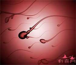 广州怀孕中心哪里有_广州三代试管后孩子畸形率