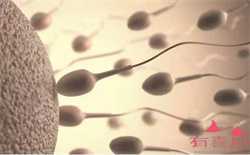 借卵生子血型是谁的,供卵试管以后的弊端怀孕注意事项有哪些 怀孕如何防治月