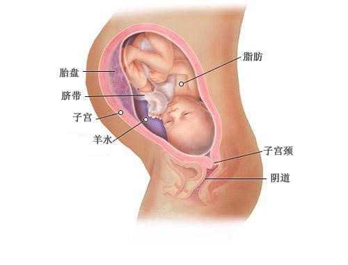 广州代孕_广州代孕母价格_广州正规代孕公司排名
