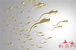 广州代孕~广州代孕母价格~广州胚胎代孕的风险