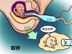 广州妇幼试管婴儿地址广州了解试管婴儿治疗的整体流程月经期间会嗜睡吗