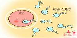 广州供卵助孕费用~广州供卵不用等的医院，精索静脉曲张可能导致不育，这三