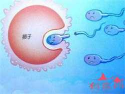 广州招待妈捐卵，广州二胎证明怎么办理