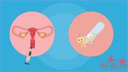 广州合法助孕，武汉最大的助孕公司 广州的女子输卵管造影花费大吗--广州不孕