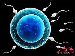 广州私立供卵机构哪里最好，私人机构试管选性别